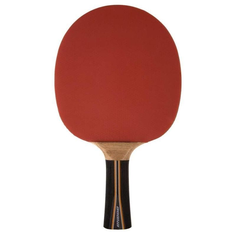 Pala Ping Pong Enebe Equipo 500