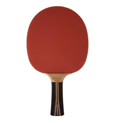 Pala Ping Pong Enebe Equipo 500