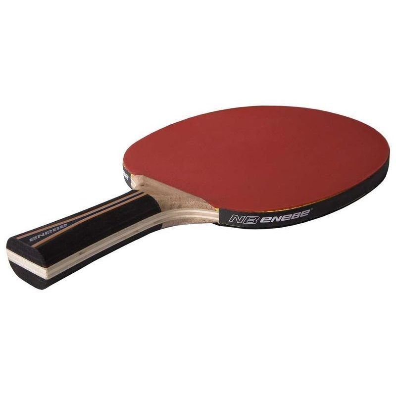 Pala Ping Pong Enebe Equipo 500