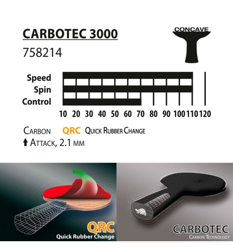 Pala Ping Pong Donic Carbotec 3000