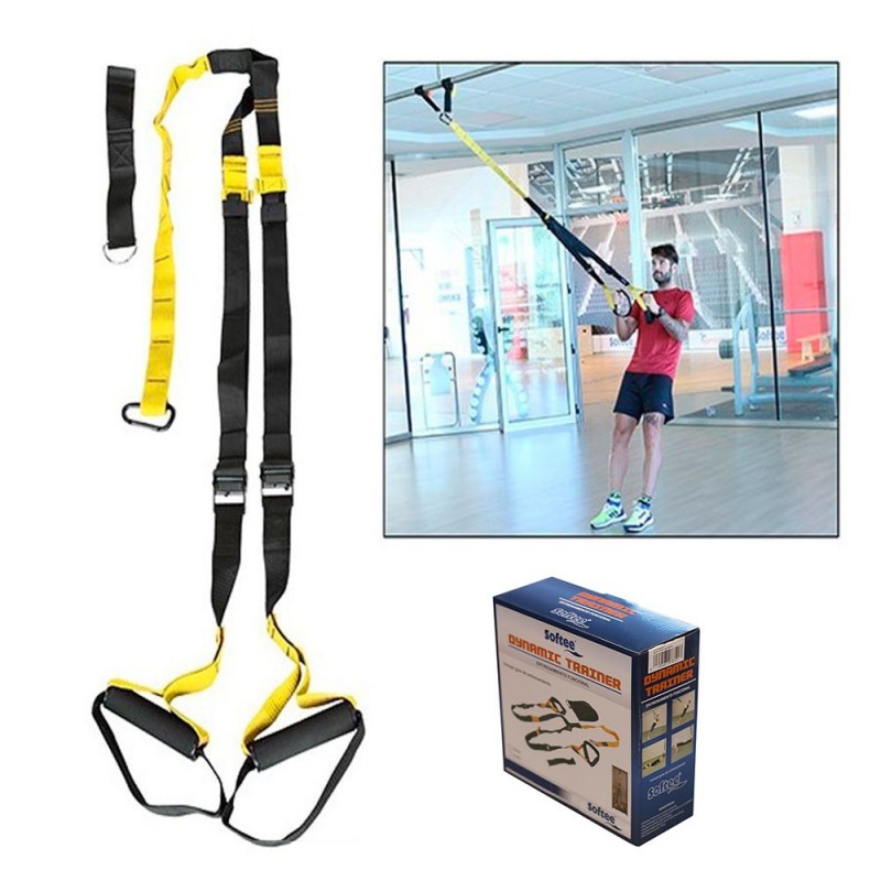 suspension trx