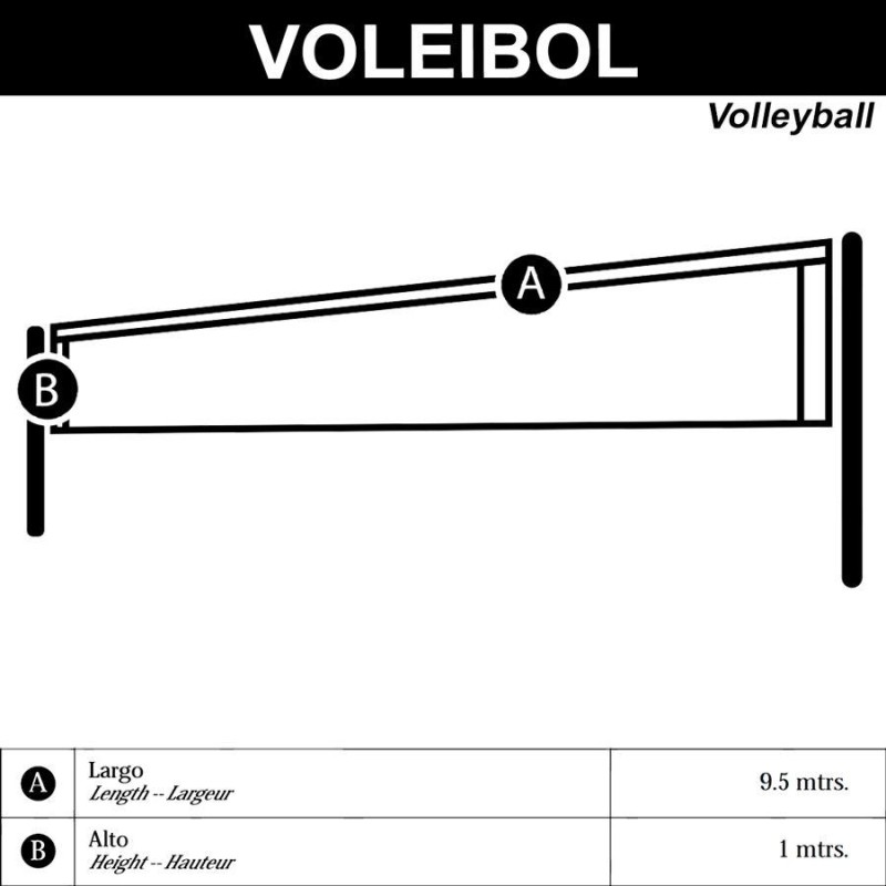 Red Voleibol Basic