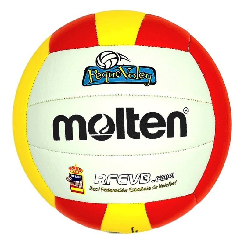 Balón de voleibol oficial